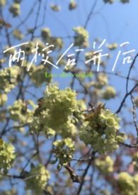 两校合并后两校合并后